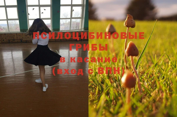 гашик Богородск