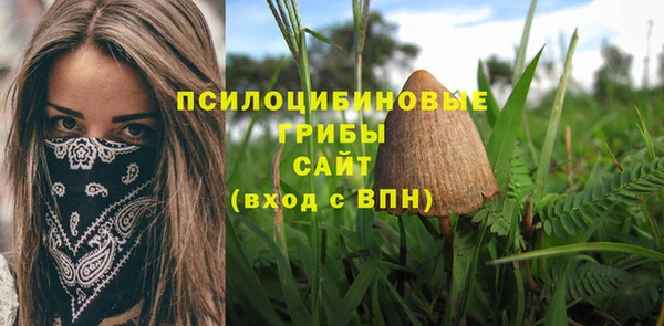 альфа пвп Богданович