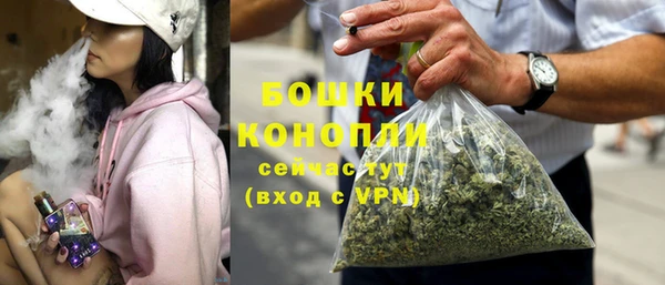 гашик Богородск